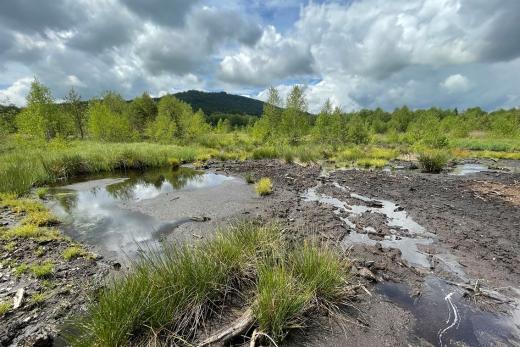 Přednáška: Voda ztracená a vrácená aneb obnova mokřadů a vodních toků na Šumavě