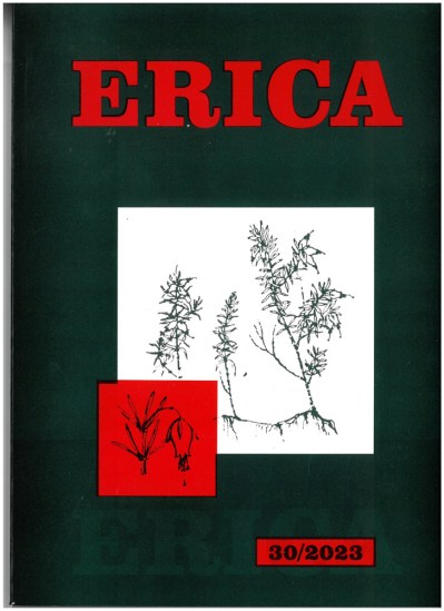 erica-30