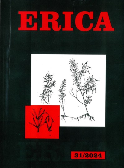 erica-31